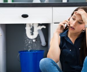 About The Faucet Pros Rhodesdale, MD